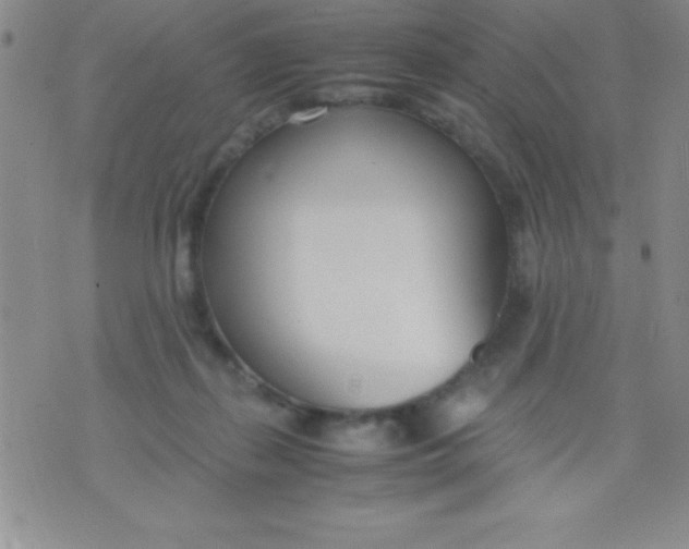 X0000071950267200607282016