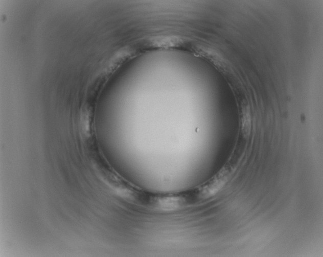 X0000071950268200607282016