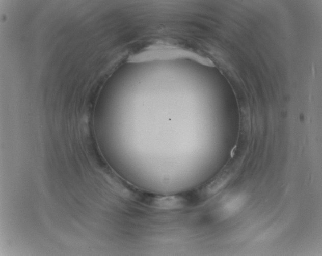 X0000071950269200607282016