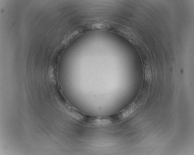 X0000071950270200607282016