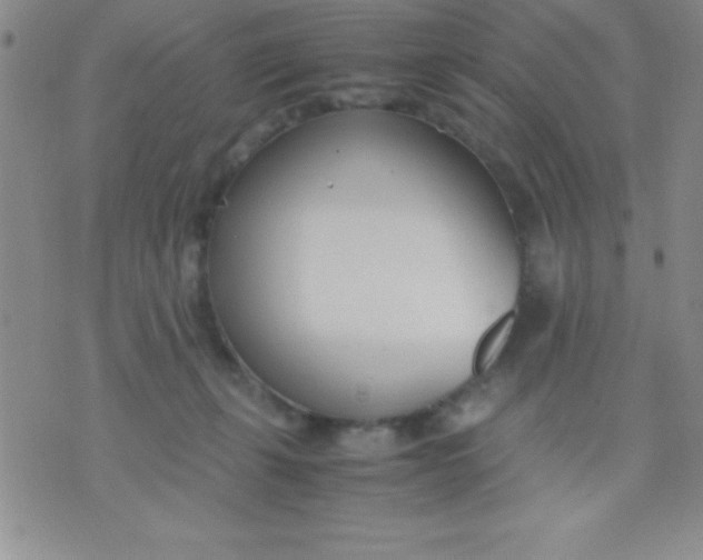 X0000071950271200607282016