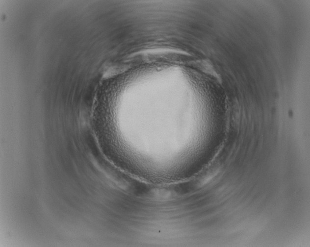 X0000071950272200607282016