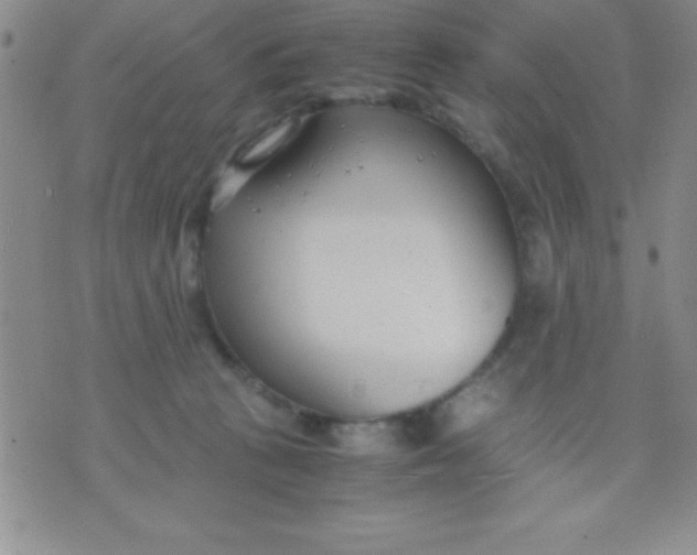 X0000071950273200607282016