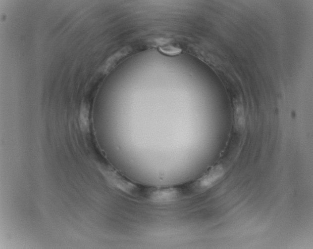 X0000071950274200607282016