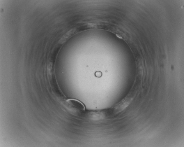 X0000071950275200607282016