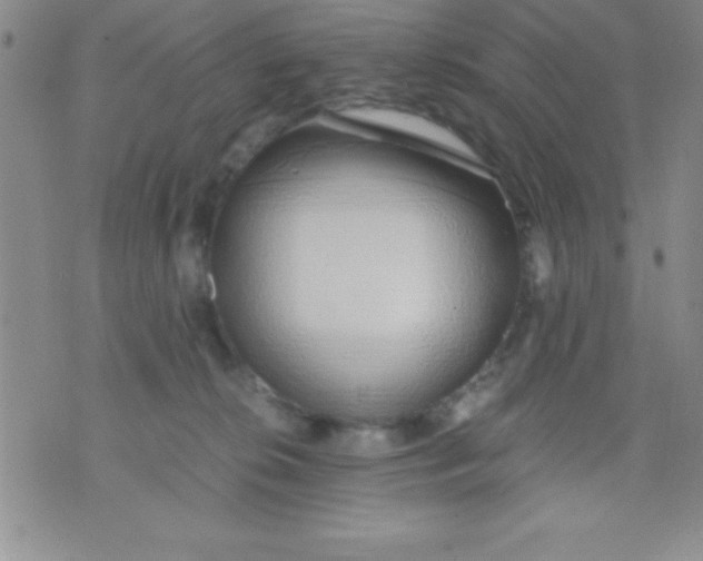 X0000071950276200607282016