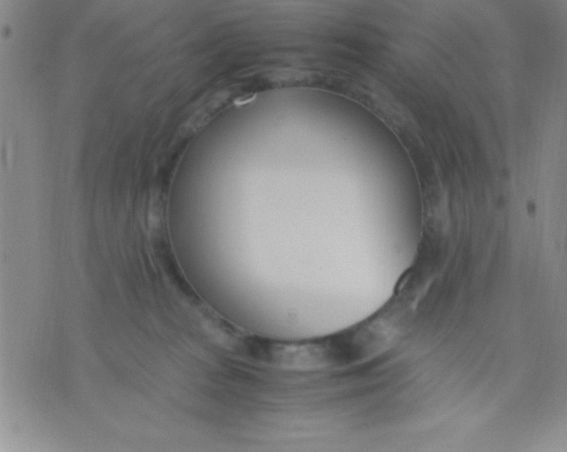 X0000071950277200607282016