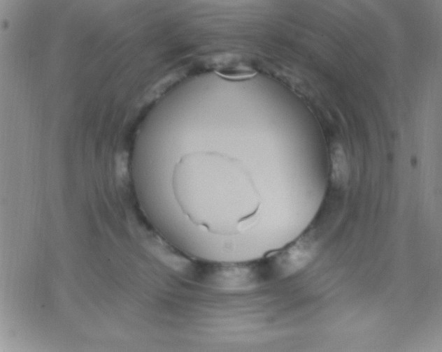 X0000071950278200607282016