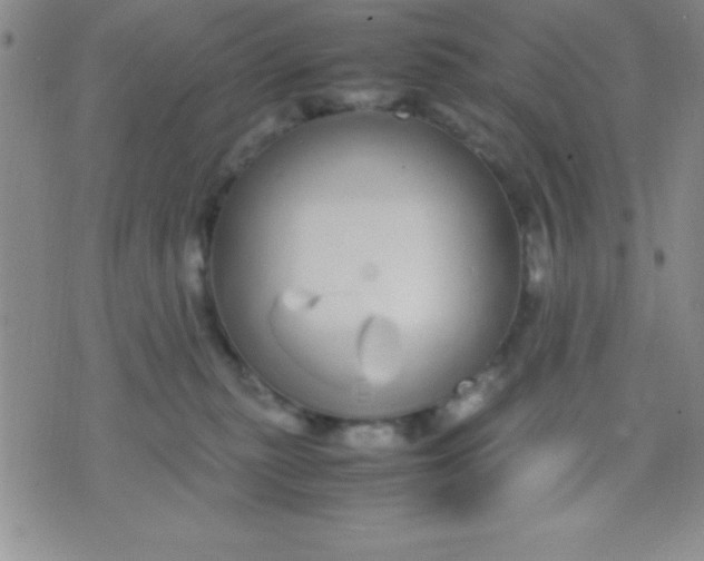 X0000071950279200607282016