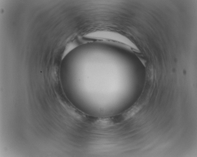 X0000071950280200607282016