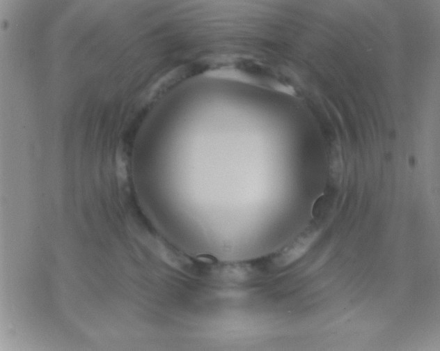 X0000071950282200607282016