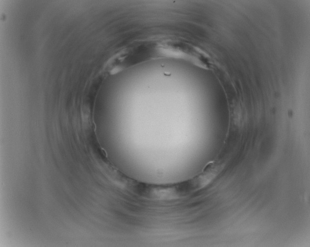 X0000071950283200607282016