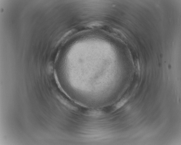 X0000071950284200607282016