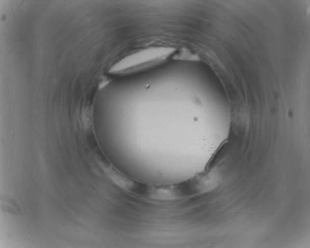 X0000071950285200607282016