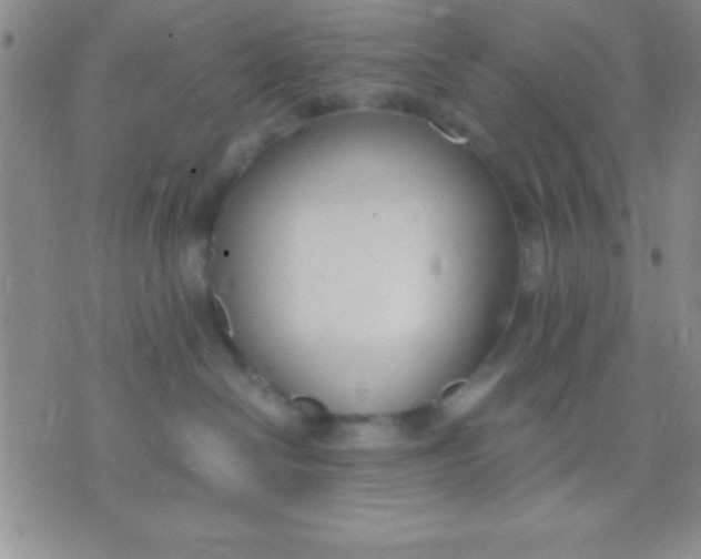 X0000071950286200607282016