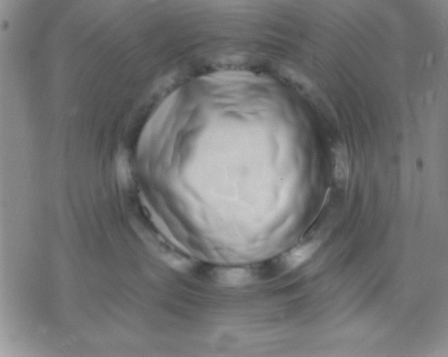 X0000071950287200607282016