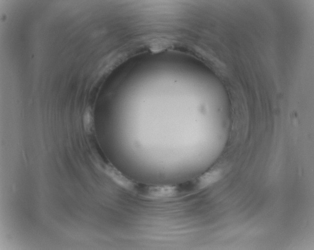 X0000071950288200607282016