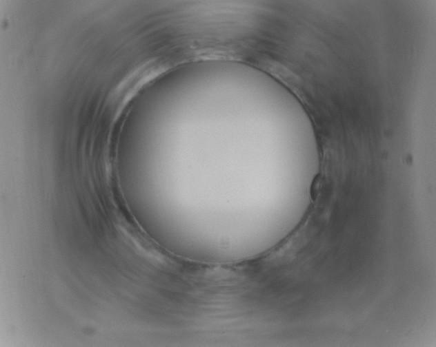 X0000071950290200607282015