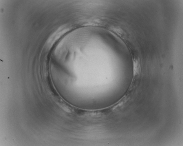 X0000071950291200607282015