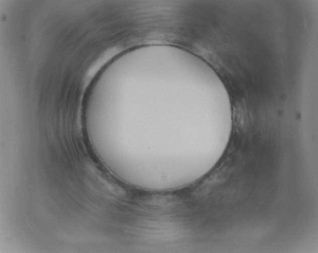 X0000071950292200607282015