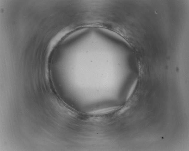 X0000071950294200607282015