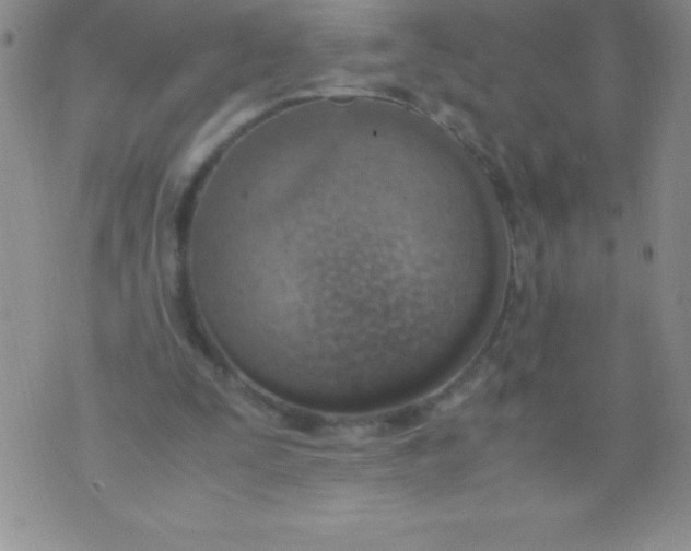 X0000071950295200607282015