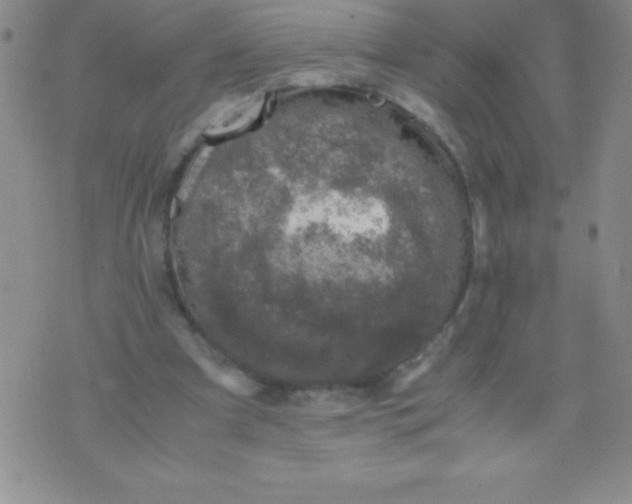 X0000071950297200607282015