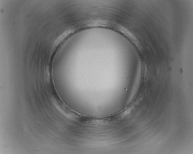 X0000071950298200607282015