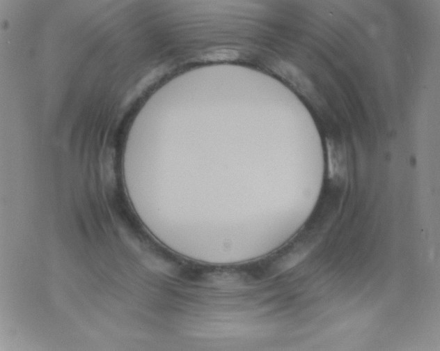 X0000071950300200607282015