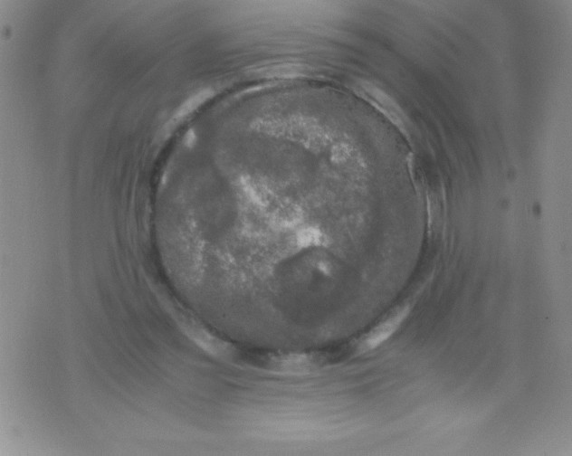 X0000071950301200607282015