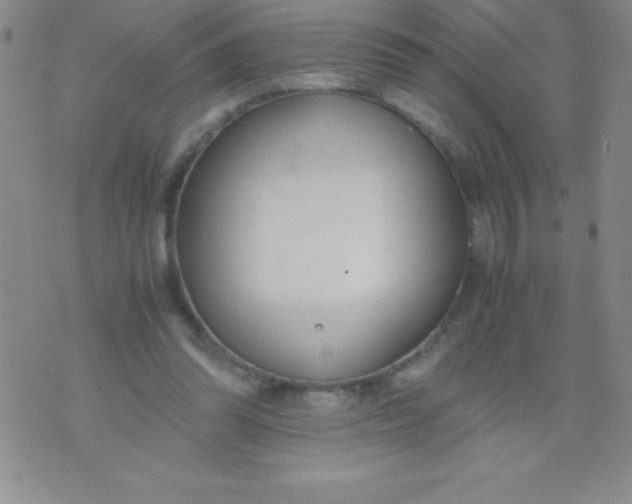 X0000071950302200607282015