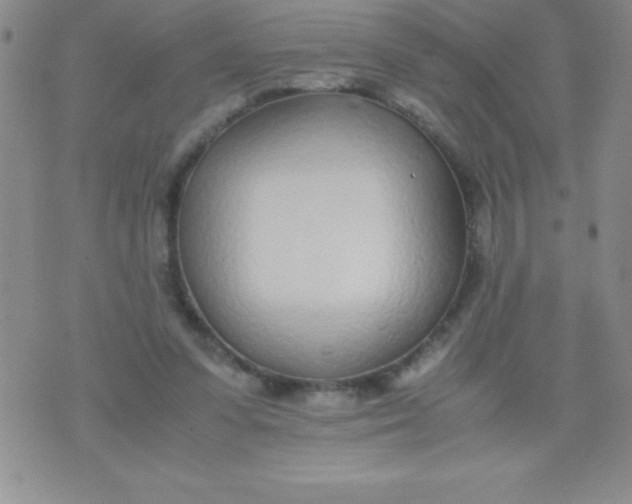 X0000071950303200607282015