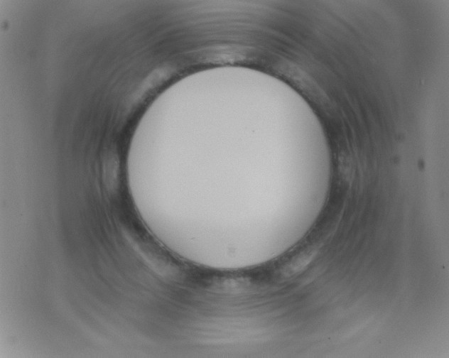 X0000071950304200607282015