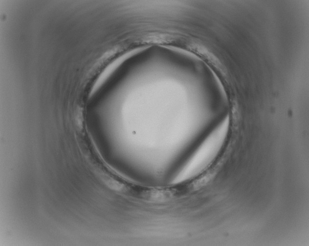 X0000071950305200607282015