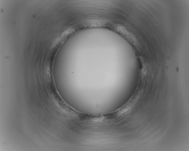 X0000071950306200607282015