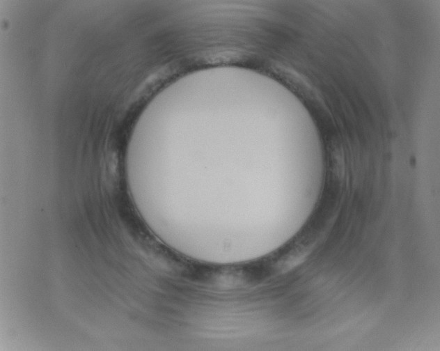 X0000071950308200607282015