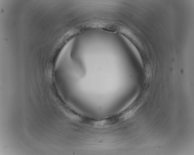 X0000071950309200607282015