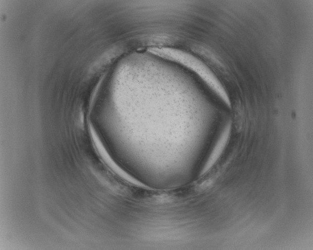 X0000071950310200607282015