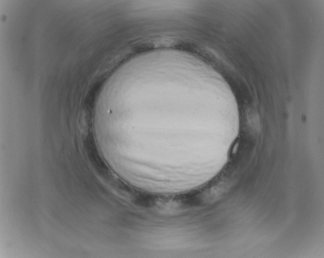 X0000071950311200607282015