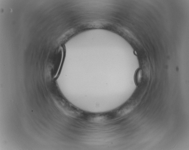 X0000071950312200607282015