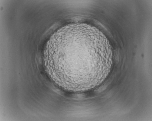 X0000071950313200607282015