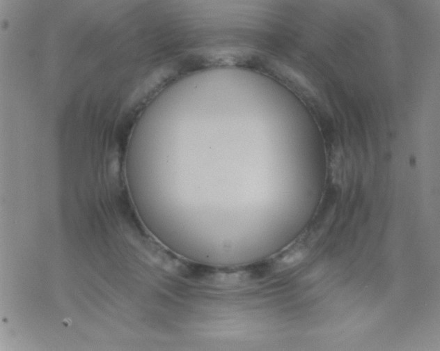 X0000071950314200607282015