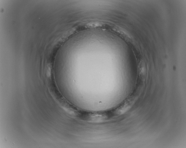 X0000071950315200607282015