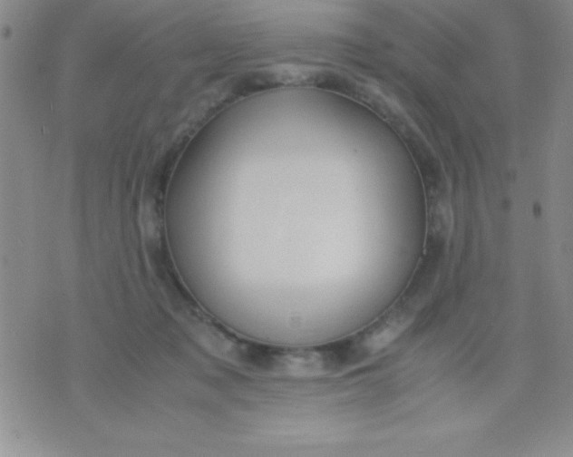 X0000071950317200607282015