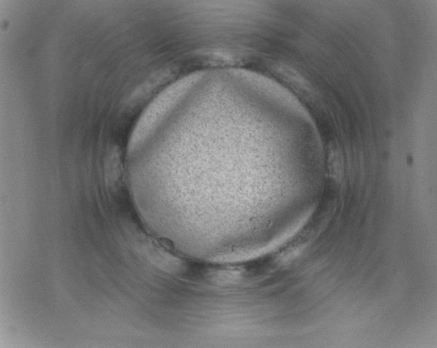 X0000071950318200607282015