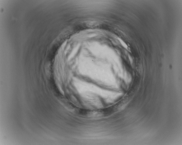 X0000071950319200607282015