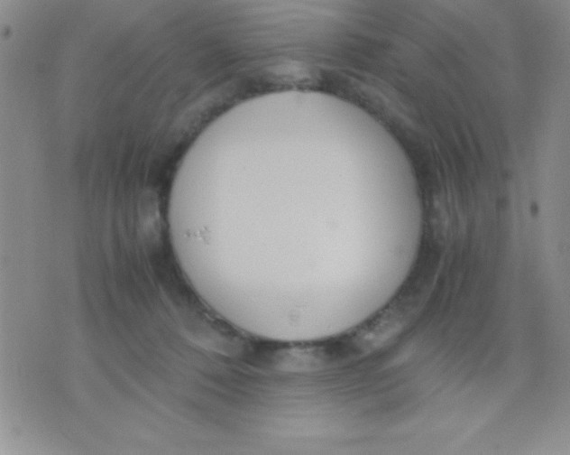 X0000071950320200607282015