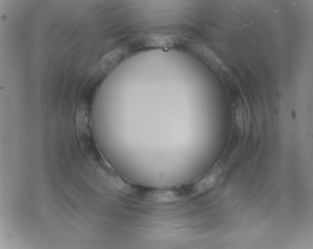 X0000071950322200607282015