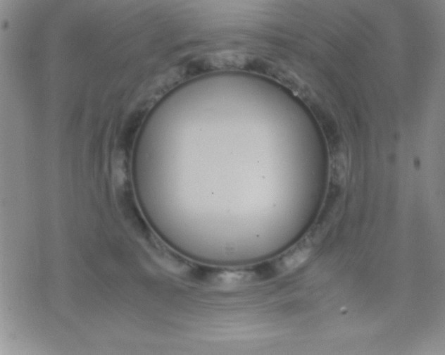 X0000071950323200607282015