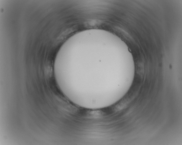 X0000071950324200607282015